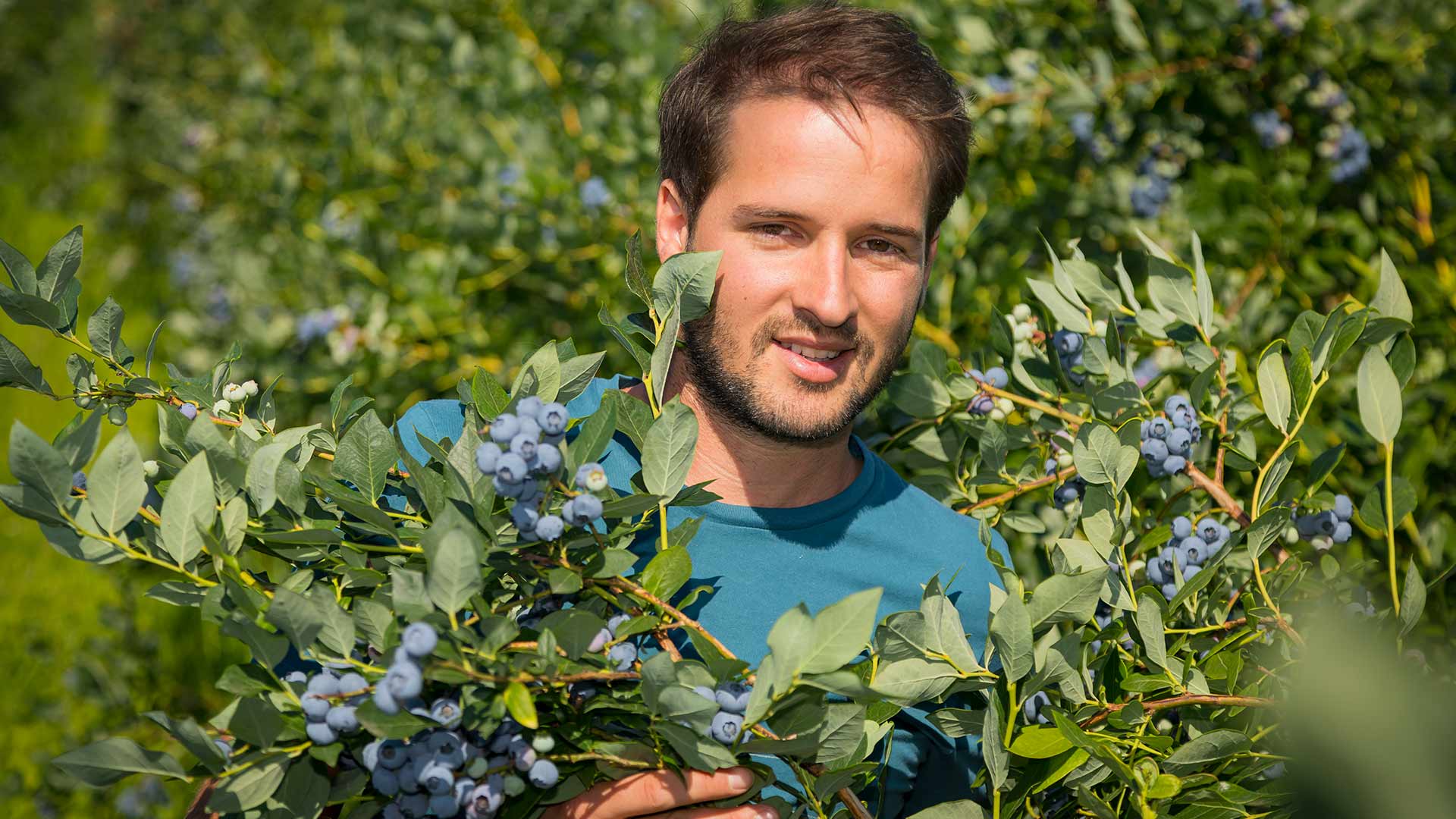 Beerengut Bauerngemeinschaft Straden Armin Lenz