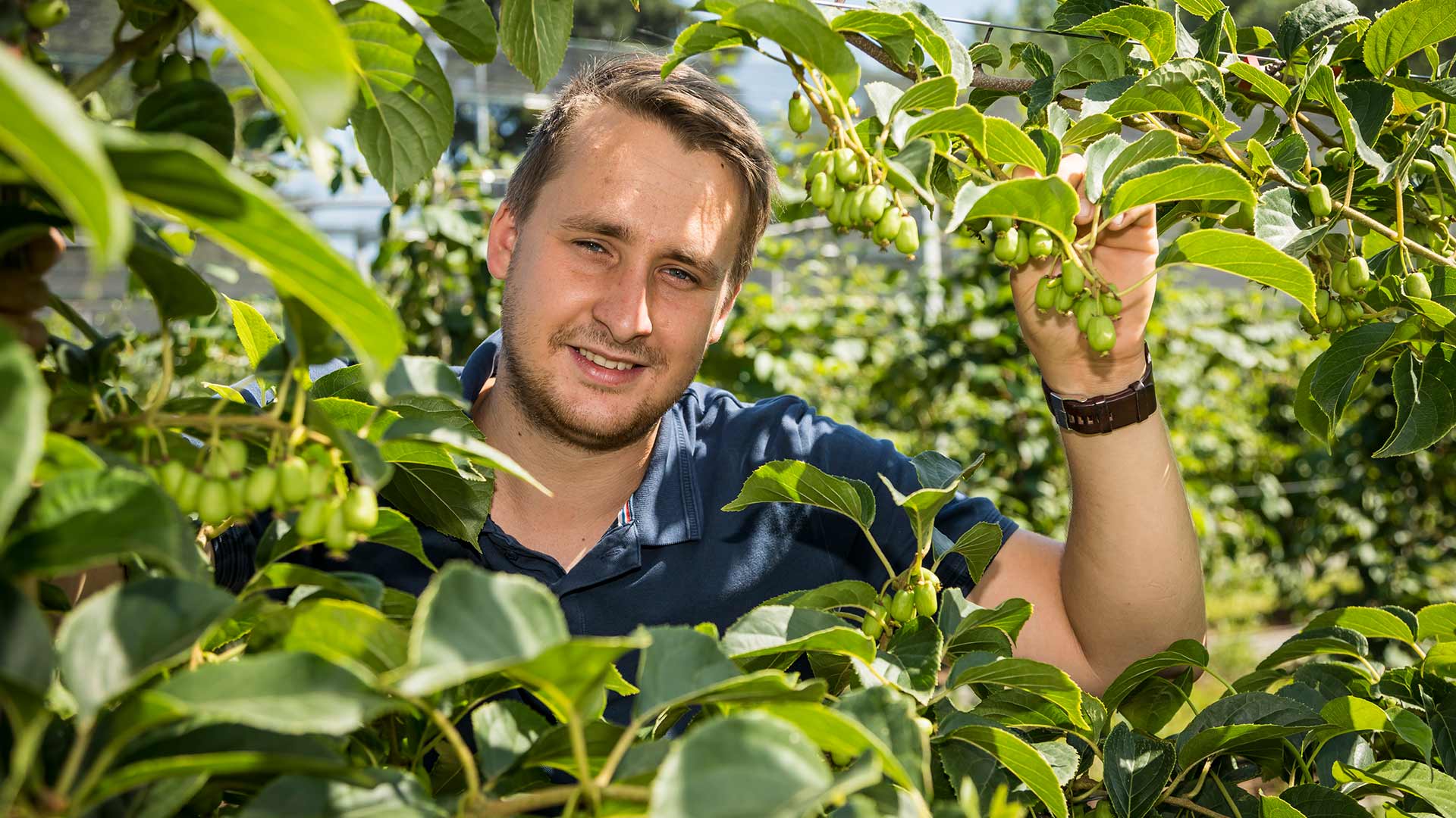 Beerengut Bauerngemeinschaft Straden Stefan Wei?